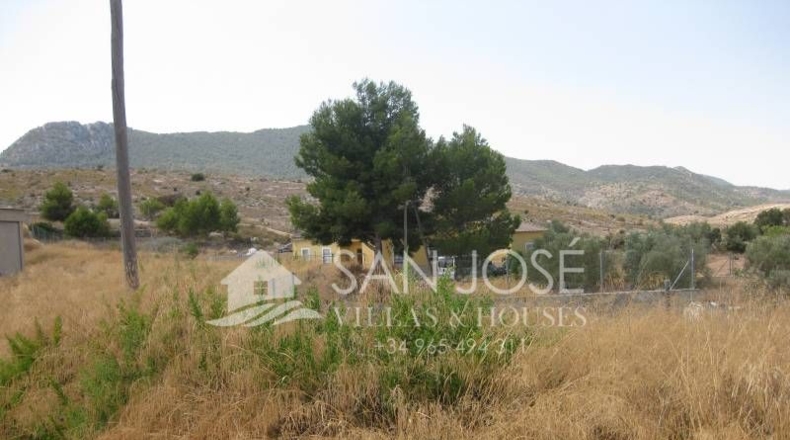 Alicante - la Romana - 28000m2