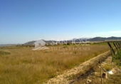Terreno no urbanizable en venta en la España, Novelda, ref: TR54159 foto