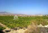 Terreno no urbanizable en venta en la España, Novelda, ref: TR54159 foto