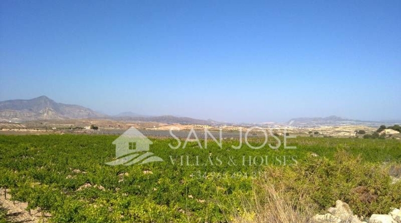 Alicante - La Cruz - 34000m2