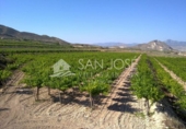 Terreno no urbanizable en venta en la España, Novelda, ref: TR54159 foto
