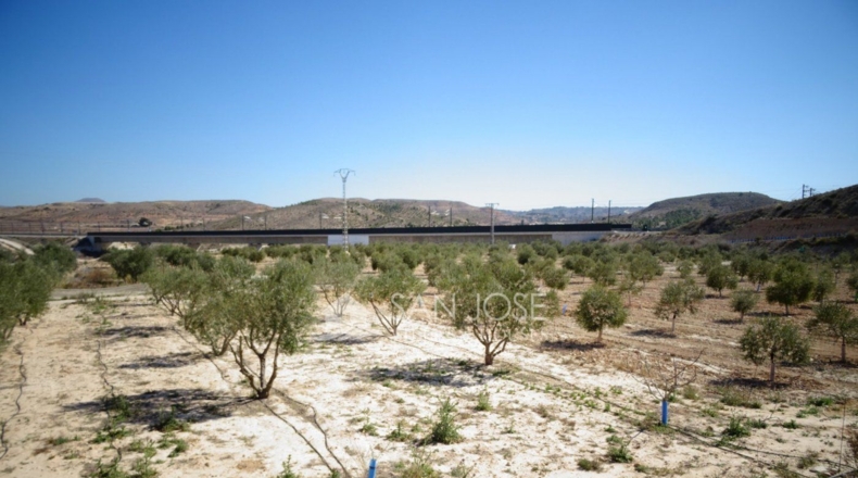 Alicante - La Columna - 47078m2