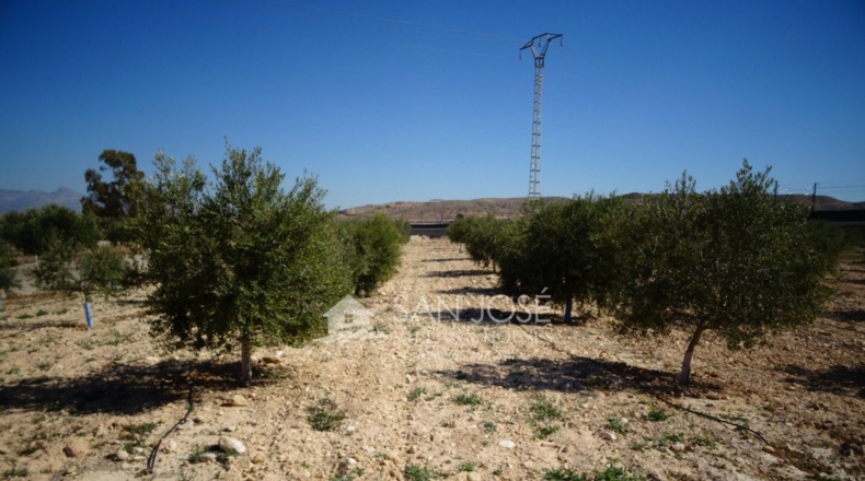 Alicante - La Columna - 47078m2
