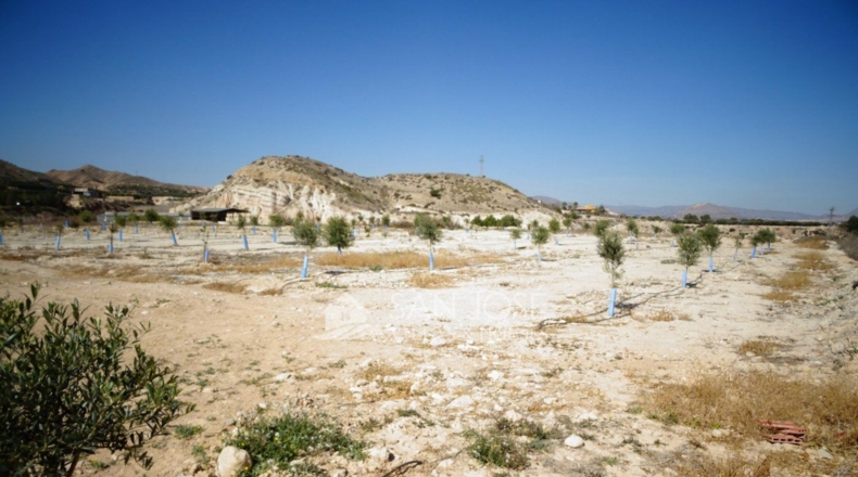 Alicante - La Columna - 47078m2