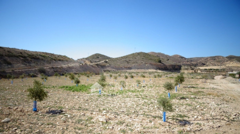 Alicante - La Columna - 47078m2