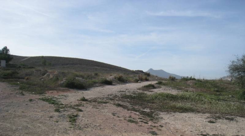 Alicante - Aspe - 11500m2