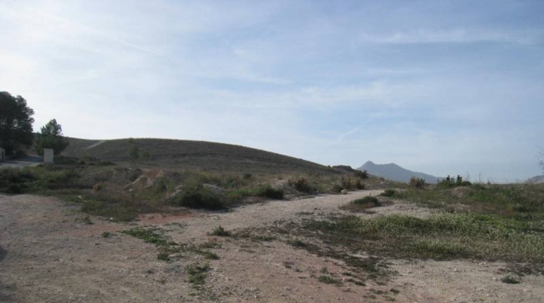 Alicante - Aspe - 11500m2