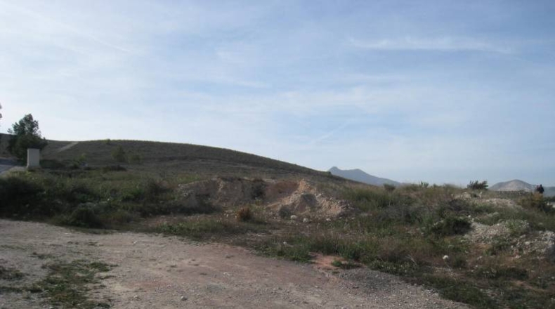 Alicante - Aspe - 11500m2