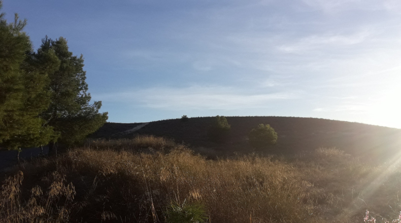 Alicante - Aspe - 11500m2