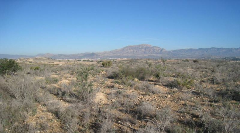 Alicante - Monforte del Cid - 3000m2