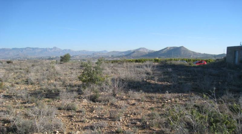 Alicante - Monforte del Cid - 3000m2