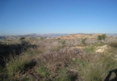 Casa de camp amb terreny en venda a la España, Montfort, ref.: TR17106 foto