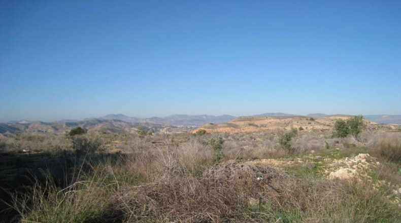 Alicante - Monforte del Cid - 3000m2