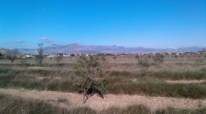 Alicante - La Columna - 13900m2