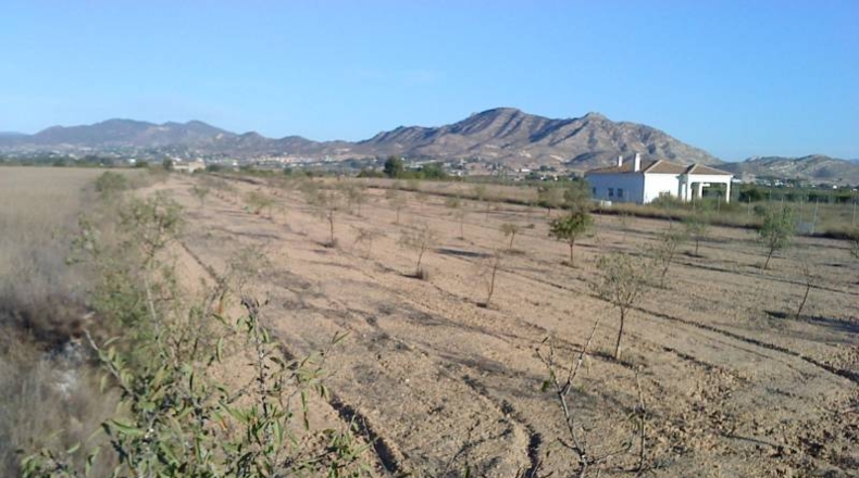 Alicante - La Columna - 13900m2