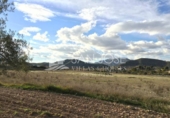 Terreny no urbanitzable en venda a la España, el Fondó de les Neus, ref.: TR32643 foto