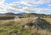 Terreny no urbanitzable en venda a la España, el Fondó de les Neus, ref.: TR32643 foto
