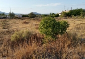 Land suitable for development for sale on España, Aspe, ref: TR33018 photo