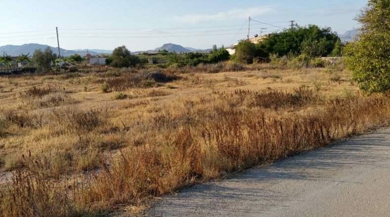 Alicante - Aspe - 300m2
