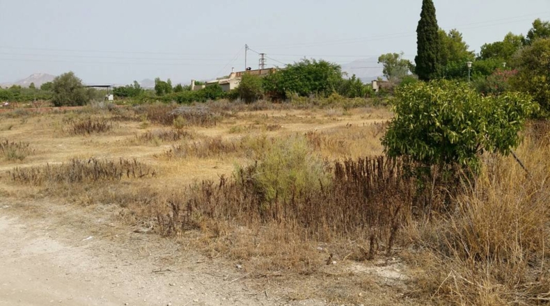Alicante - Aspe - 300m2