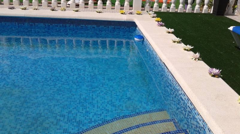 Alicante - Crevillente - 10000m2