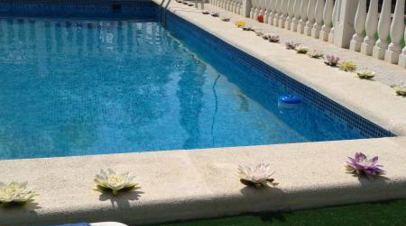 Alicante - Crevillente - 10000m2