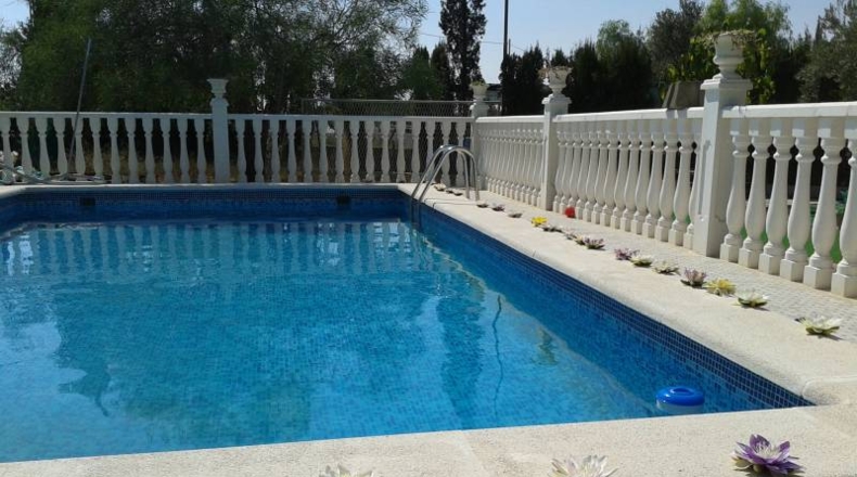 Alicante - Crevillente - 10000m2