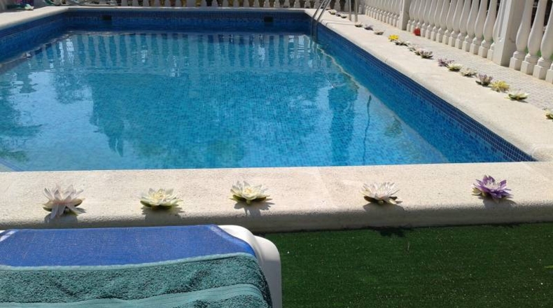 Alicante - Crevillente - 10000m2