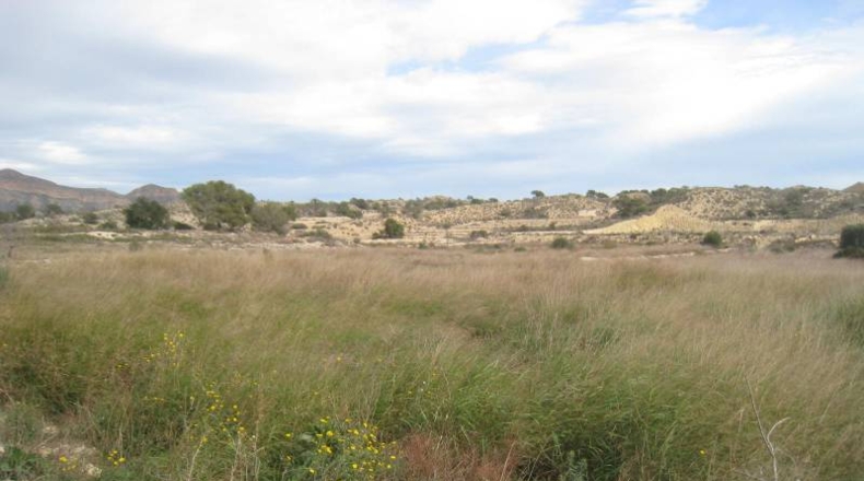 Alicante - Monforte del Cid - 58580m2