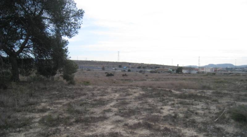 Alicante - Monforte del Cid - 58580m2