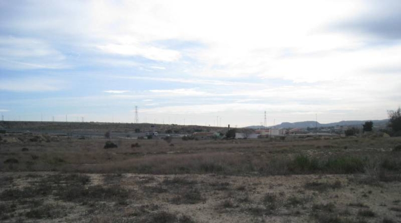 Alicante - Monforte del Cid - 58580m2