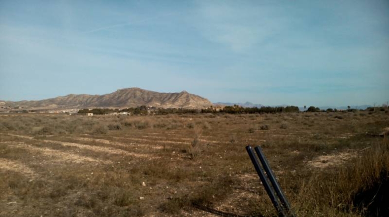 Alicante - La Columna - 10250m2