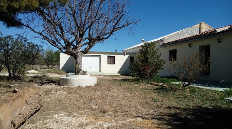 Alicante - Pinoso - 7200m2