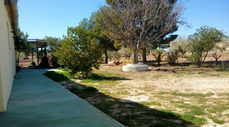 Alicante - Pinoso - 7200m2
