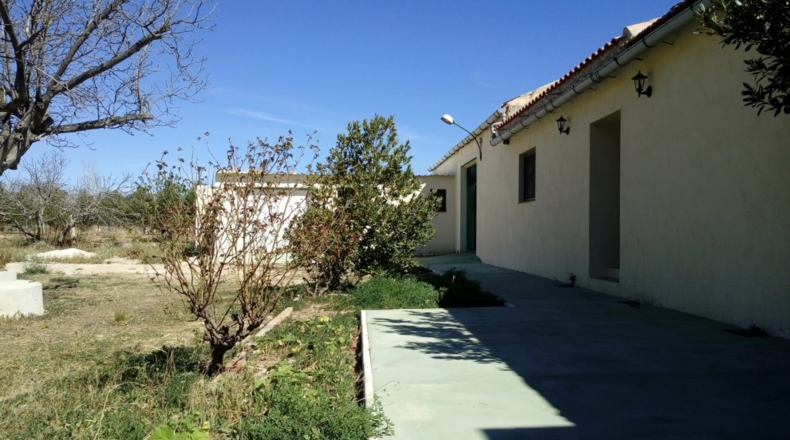 Alicante - Pinoso - 7200m2