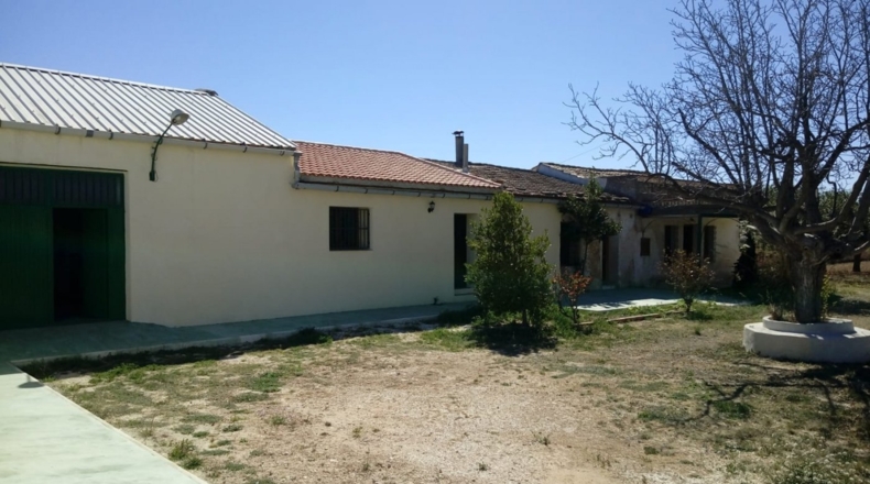 Alicante - Pinoso - 7200m2