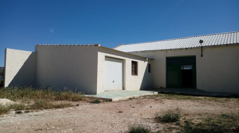 Alicante - Pinoso - 7200m2