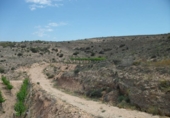 Casa de camp amb terreny en venda a la España, Montfort, ref.: TR36933 foto