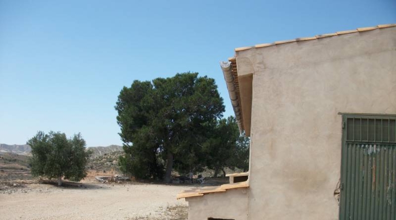 Alicante - Monforte del Cid - 50000m2