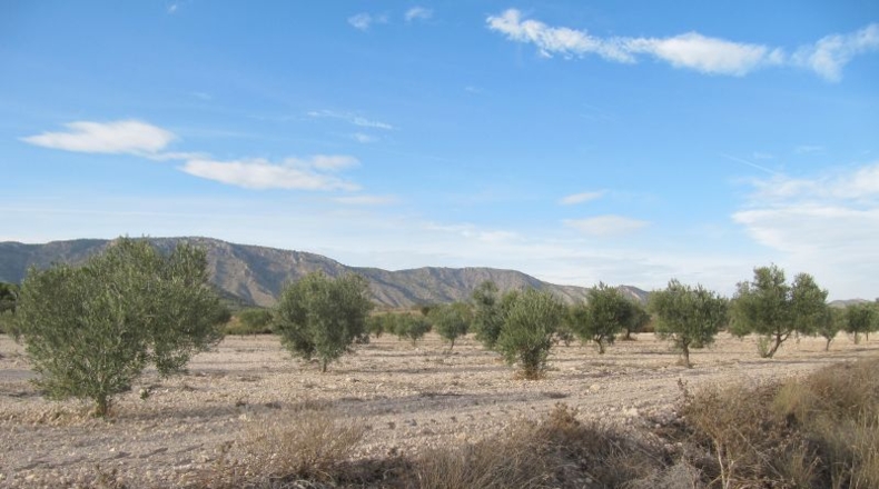 Navarra - Salinas de Ibargoiti - 500000m2