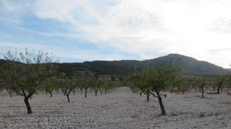 Navarra - Salinas de Ibargoiti - 500000m2