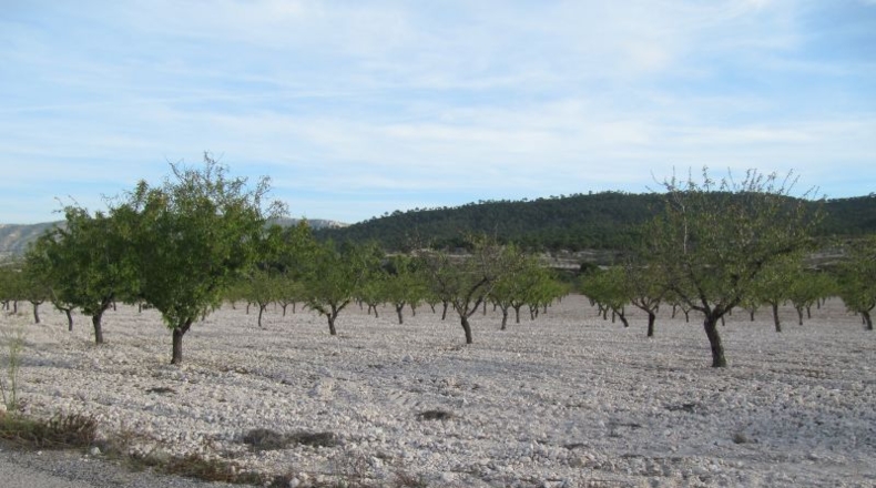 Navarra - Salinas de Ibargoiti - 500000m2