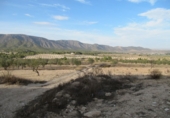 Finca rústica en venda a la España, Monòver, ref.: TR3197 foto