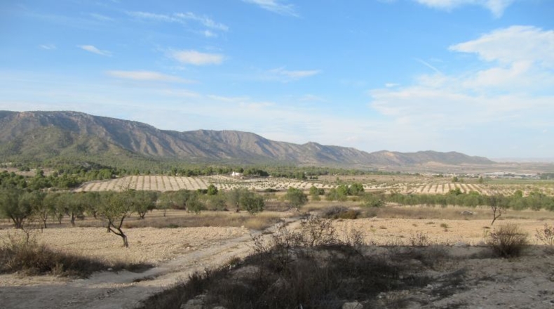 Navarra - Salinas de Ibargoiti - 500000m2
