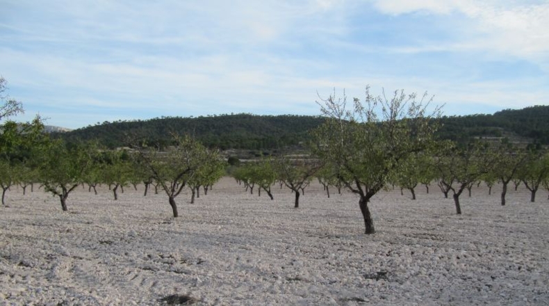 Navarra - Salinas de Ibargoiti - 500000m2