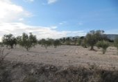 Finca rústica en venda a la España, Monòver, ref.: TR3197 foto