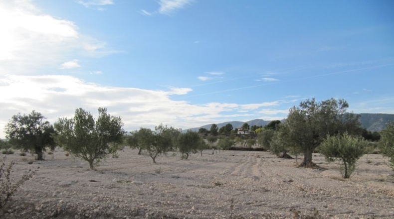 Navarra - Salinas de Ibargoiti - 500000m2