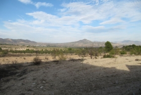 Foto 18