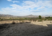 Finca rústica en venda a la España, Monòver, ref.: TR3197 foto