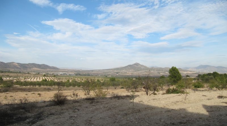 Navarra - Salinas de Ibargoiti - 500000m2